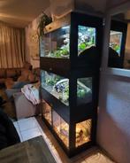 OSB terrarium RepHouSZ. Ook maatwerk, Dieren en Toebehoren, Reptielen en Amfibieën | Toebehoren, Ophalen of Verzenden