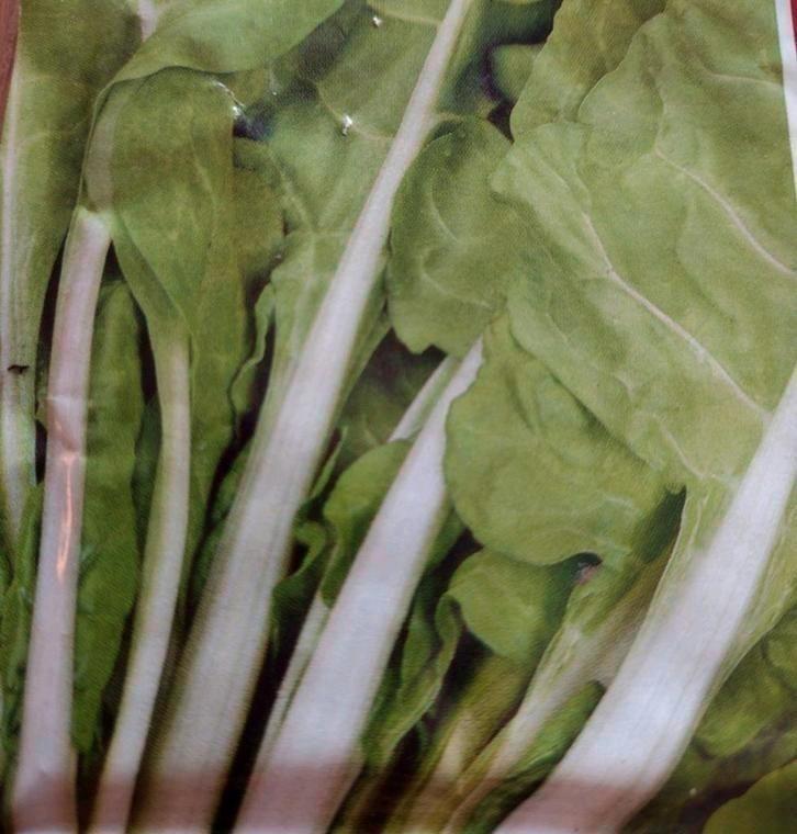 Zaden Snijbiet gele witribbige Lyon - Beta vulgaris L. Var., Tuin en Terras, Bloembollen en Zaden, Zaad, Voorjaar, Volle zon, Verzenden