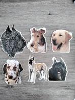 Honden stickers, Verzamelen, Ophalen of Verzenden, Zo goed als nieuw, Dier en Natuur