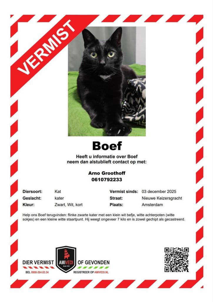 Onze kater Boef is vermist., Dieren en Toebehoren, Vermiste en Gevonden Dieren, Kat