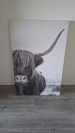 Schotse hooglander, Huis en Inrichting, Woonaccessoires | Schilderijen, Tekeningen en Foto's, Ophalen, Zo goed als nieuw, Foto of Poster