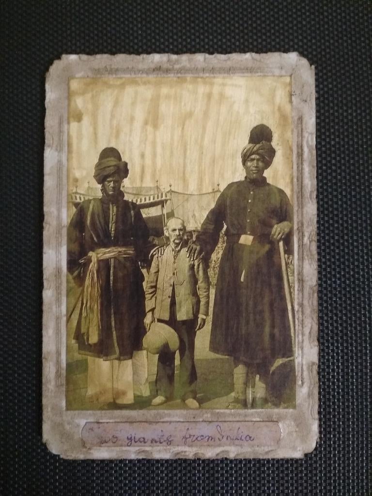 Drie foto's van reuzen, Verzamelen, Foto's en Prenten, Gebruikt, Verzenden, Foto, Buitenland