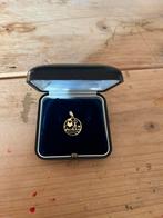 14 karaat hanger van sterrenbeeld waterman, Ophalen of Verzenden, Zo goed als nieuw, Zilver, Overige voorstellingen