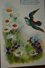 frankrik 1907 margrietjes madeliefjes vogel viooltjes, Ophalen, Voor 1920, Ongelopen