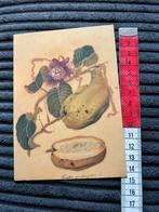 796. Kunstkaart G.Schouten, Ophalen of Verzenden, 1980 tot heden, Ongelopen