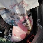 Splendicat kattenbakvulling, Ophalen of Verzenden, Nieuw