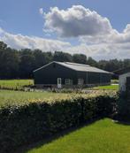 Pensionstal paarden /pony/ stalling / huur stal berg en dal, Weidegang