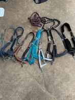 Halsters maat cob, Ophalen of Verzenden, Overige soorten