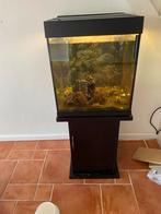 Trofis aquarium 55x55x55 met verlichting 166 liter, Ophalen, Gebruikt