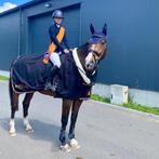 Paardrijles ponyles instructie, Diensten en Vakmensen, Dieren | Paarden | Verzorging, Oppas en Les