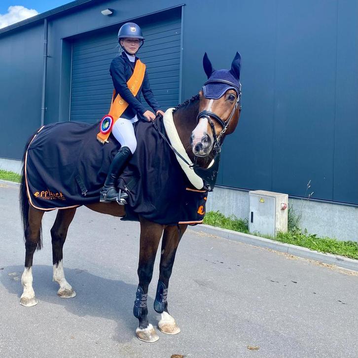 Paardrijles ponyles instructie, Diensten en Vakmensen, Dieren | Paarden | Verzorging, Oppas en Les