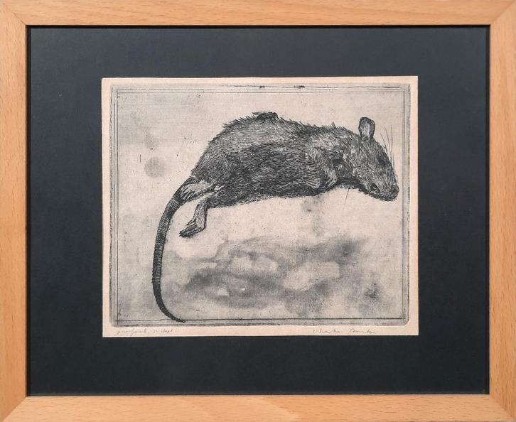 Dode Rat - proefdruk 2e staat - Kunstenaar: Charles Donker, Antiek en Kunst, Kunst | Etsen en Gravures, Ophalen of Verzenden