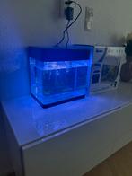 Aquarium 17 litre, Witgoed en Apparatuur, Zonnebanken en Gezichtsbruiners, Ophalen of Verzenden, Zo goed als nieuw, Gezichtsbruiner