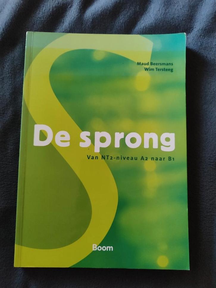 Maud Beersmans - De sprong, Boeken, Schoolboeken, Zo goed als nieuw, Nederlands, Overige niveaus, Ophalen