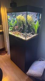 Juwel lido 120 liter aquarium, Dieren en Toebehoren, Vissen | Aquaria en Toebehoren, Ophalen, Zo goed als nieuw, Leeg aquarium