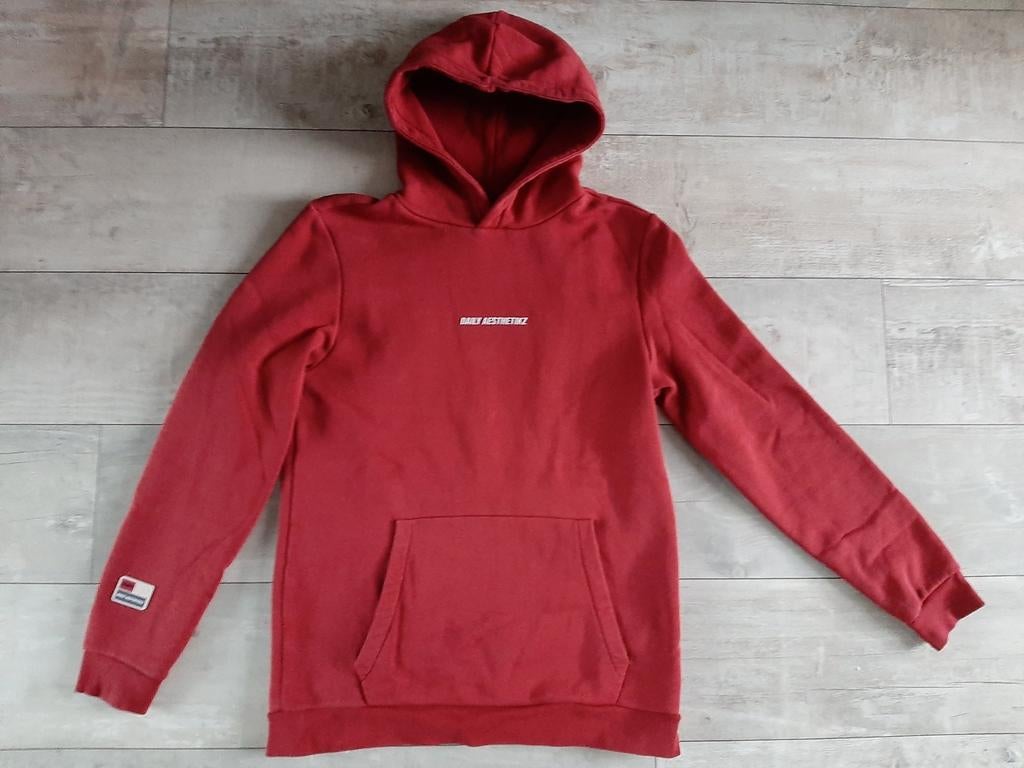 Daily Aesthetikz hoody ongedragen mt M, Kleding | Heren, Truien en Vesten, Ophalen of Verzenden, Nieuw, Maat 48/50 (M)