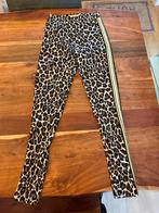 Nieuwe Vingino broek maat 164, Broek, Meisje, Nieuw, Ophalen of Verzenden