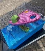 Knaagdieren kooi / hok, Dieren en Toebehoren, Minder dan 75 cm, Zo goed als nieuw, Ophalen, Minder dan 60 cm