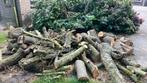 Haardhout - eiken - kers- appel, Tuin en Terras, Haardhout, Ophalen, Stammen