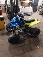 Quad 250 cc, Ophalen of Verzenden, Gebruikt, 250 cc, Overige typen