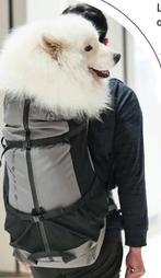 Honden draagzak rug, Ophalen of Verzenden, Nieuw