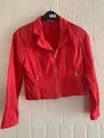 Dunne jas dreamstar roze/rood maat 38, Maat 38/40 (M), Dreamstar, Ophalen of Verzenden, Gedragen