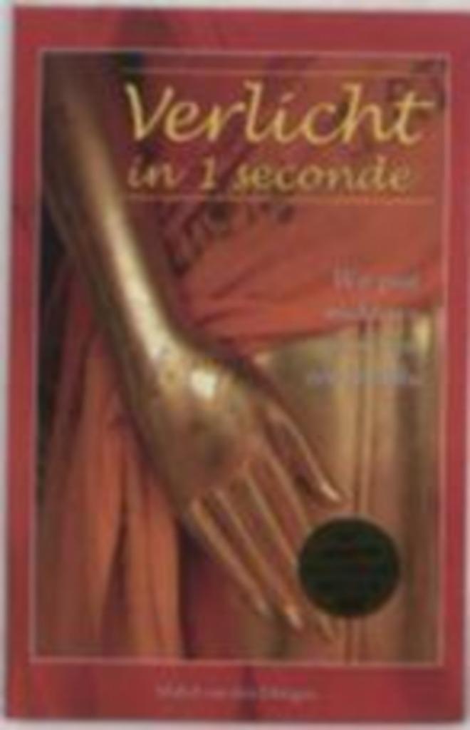 verlicht in 1 seconde Mabel van den Dungen SPLINTERNIEUW, Boeken, Esoterie en Spiritualiteit, Nieuw, Ophalen of Verzenden