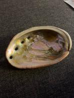 Abalone Schelp - 7,5 cm breed - Decoratie & Spiritueel, Ophalen of Verzenden