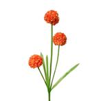 CLAYRE & EEF - KUNST - POMPOM