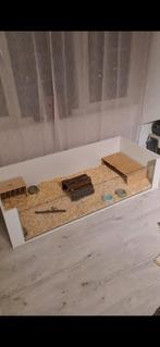 Caviaverblijf zelf gebouwd, Kooi, 110 cm of meer, Zo goed als nieuw, Cavia