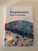 Groepsdynamica, Boeken, Ophalen of Verzenden, Beta, Zo goed als nieuw, HBO