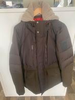 Strellson Winterjas - Maat XL, Maat 52/54 (L), Strellson, Nieuw, Ophalen of Verzenden