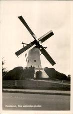 Halsteren Sint Antonius-Molen fotokaart st 1942 uitg C.Janse
