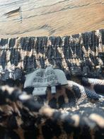 Rokjes costes, Ophalen of Verzenden, Zo goed als nieuw, Zwart, Boven de knie