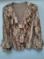 Bloese nieuw, velours maat 38/40, Kleding | Dames, Blouses en Tunieken, Ophalen of Verzenden, Nieuw, Maat 38/40 (M)