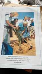 Kaart joodsfonds 1986 boom olanten israel, Ophalen of Verzenden, Zo goed als nieuw, Kaart, Foto of Prent