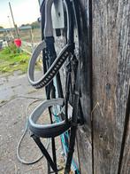 Pony/welsh a hoofdstel, Ophalen of Verzenden