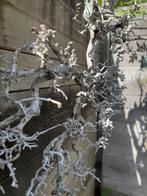 Decoratieve Ibiza stijl  tak, Ophalen, Zo goed als nieuw