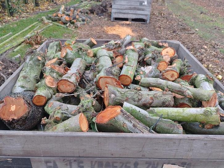 Appel kachelhout haardhout fruitbomen hout icl. bak, Tuin en Terras, Haardhout, Blokken, Overige houtsoorten, 6 m³ of meer, Ophalen of Verzenden
