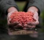 VISMADEN ROOD VERS, Verzenden, Nieuw, Overige typen