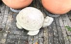 Stenen schildpad, Ophalen of Verzenden, Steen