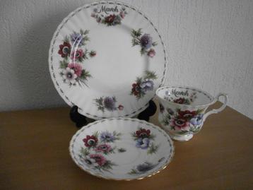 In nieuwstaat Royal Albert Flower of the month Maart / March beschikbaar voor biedingen