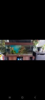 Aquarium met onderkast, Ophalen, Gebruikt, Leeg aquarium