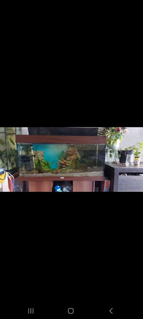Aquarium met onderkast, Dieren en Toebehoren, Vissen | Aquaria en Toebehoren, Gebruikt, Leeg aquarium, Ophalen