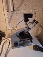 Reichert Austria Microscoop, Audio, Tv en Foto, Optische apparatuur | Microscopen, Ophalen of Verzenden, Gebruikt, 400x tot 1000x