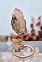 Red Scarlet Lemurian, Verzenden