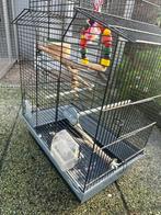 Vogelkooi, Dieren en Toebehoren, Vogels | Hokken en Kooien, Ophalen of Verzenden, Gebruikt, Metaal, Vogelkooi