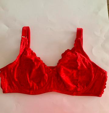 Triumph 100D full cup rood kant beschikbaar voor biedingen