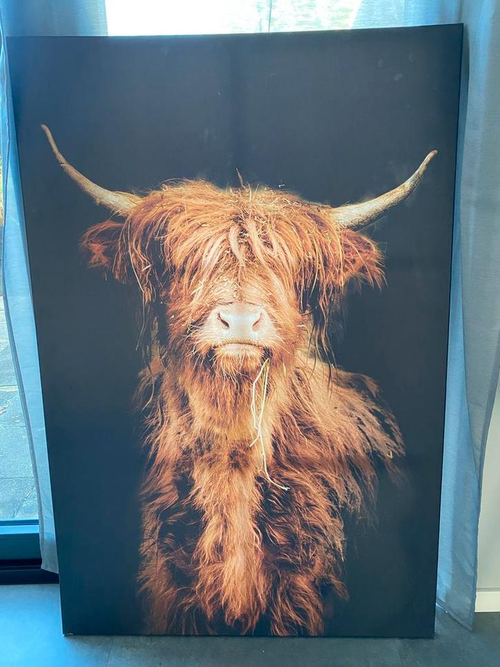 Groot Schilderij van Schotse Hooglander, Huis en Inrichting, Woonaccessoires | Schilderijen, Tekeningen en Foto's, Zo goed als nieuw