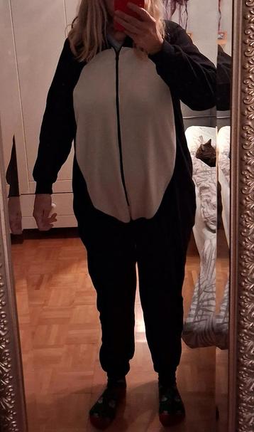 Pinguinpak of cosybankhangpak beschikbaar voor biedingen